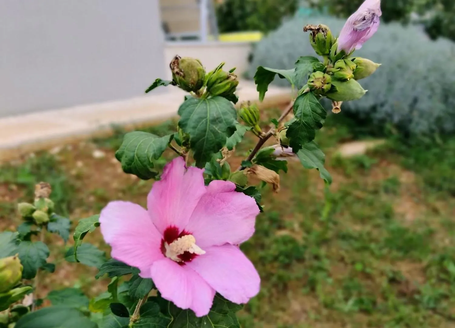 Favoloso Duplex Volme - Banjole, Pula, Croazia Holiday home